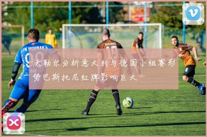 沃勒尔分析意大利与德国小组赛形势巴斯托尼红牌影响巨大