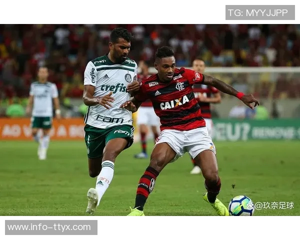 巴西足球盛事帕尔梅拉斯与弗拉门戈争夺南美解放者杯冠军 巴西足球盛事帕尔梅拉斯与弗拉门戈争夺南美解放者杯冠军